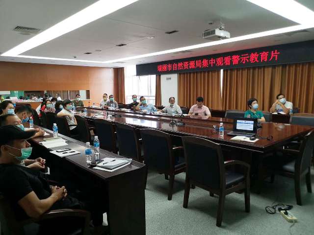 瑞丽市自然资源局2020年5月第2篇（瑞丽市自然资源局积极开展违纪违法案例 警示教育和以案促改活动） (3)