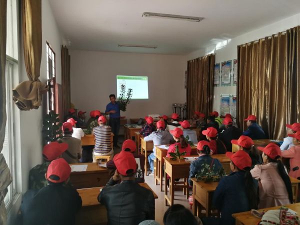 德宏林业简报2018第303期 州林业局到勐丹村开展澳洲坚果技术培训-上传