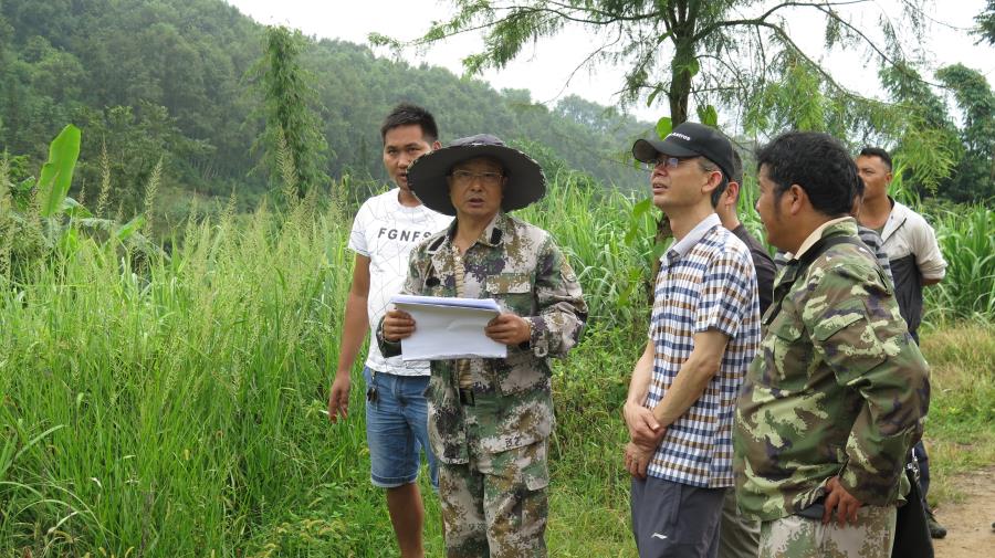 省对德宏州2019年度林业综合考核工作顺利完成2