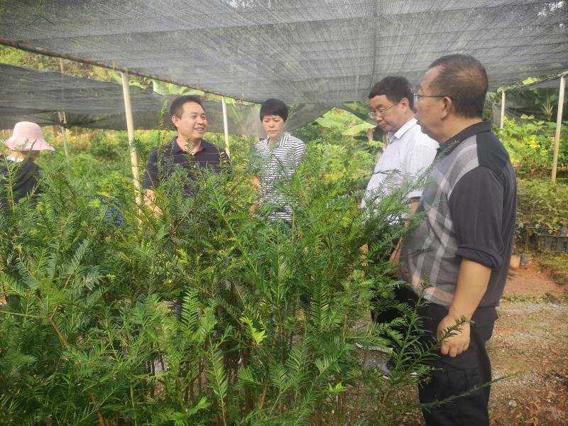 深入基层调查研究 汇聚力量谋划未来1