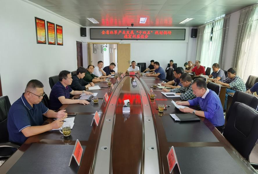 深入基层调查研究 汇聚力量谋划未来3