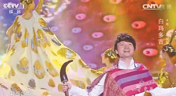 芒市傣族小伙《星光大道》夺