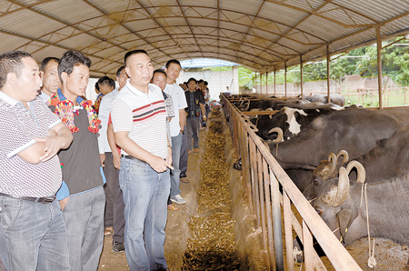 百名德昂族同胞学习习近平讲话精神