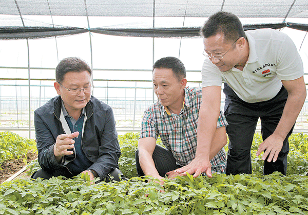 转型升级--做大做强--积极培