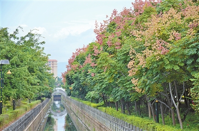 瑞丽的绿色景观带2