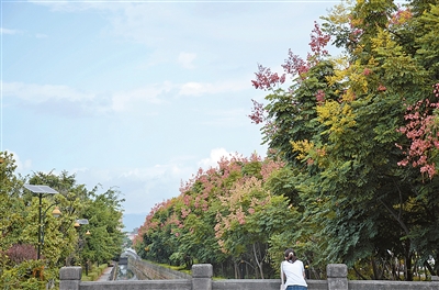 瑞丽的绿色景观带1