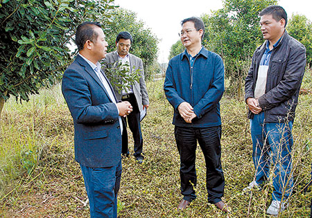 创新扶贫开发模式 促进山区群众增收