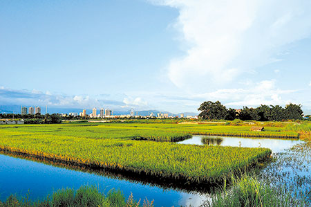 瑞丽重拳惩治环境违法 全力打造生态安全屏障