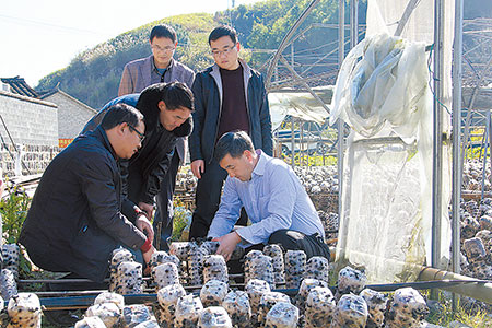 王明山到梁河调研基层党建工作