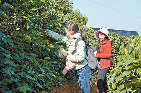 中外来宾共赴咖啡甜美之旅