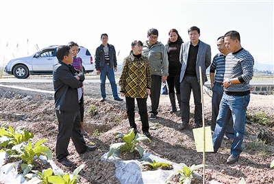 利用好优势资源 做大做强特色产业