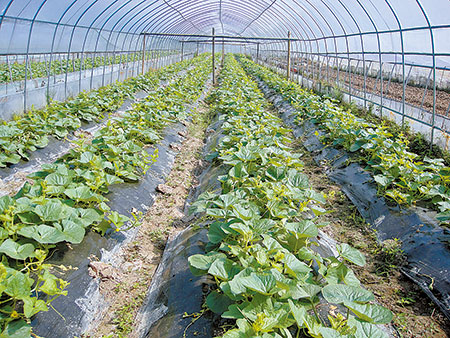 2014年我州经济运行总体平稳