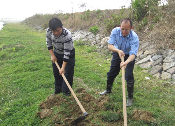 挖坑埋动物死体