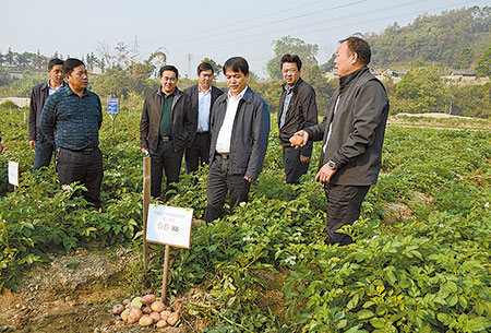 全力推进德宏高原特色农业现代化建设