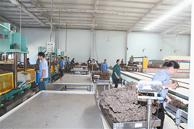 德宏：“五大产业”振翅欲飞9