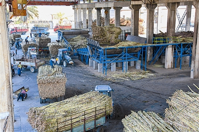 德宏：“五大产业”振翅欲飞4