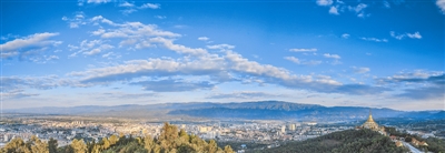 从政策“洼地”到开放“高地”2