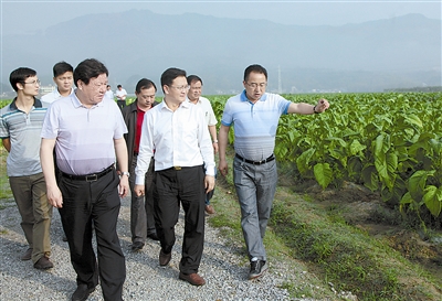 充分发挥优势 打造德宏特色烟草品牌