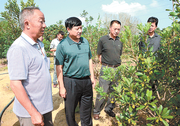 扎实推进民族团结示范区建设-
