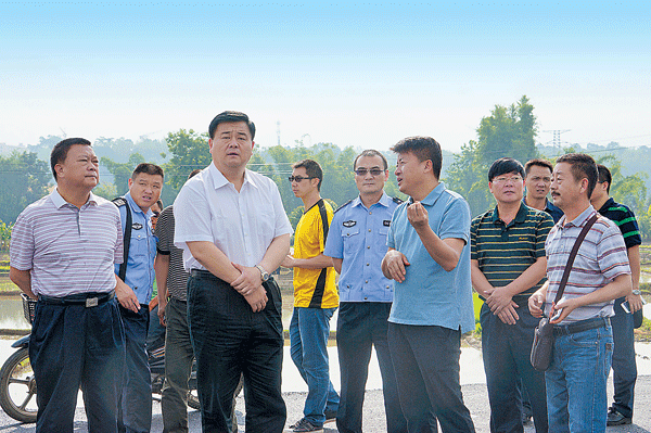 把龙瑞高速建成平安顺畅大道