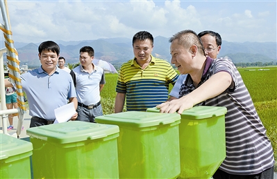 州科技局、农业局调研机插秧工作