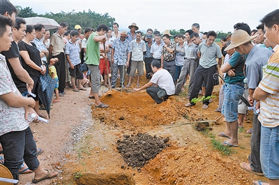州农学会联合州经作站