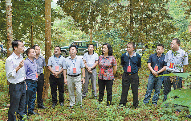 州人大代表视察林业工作