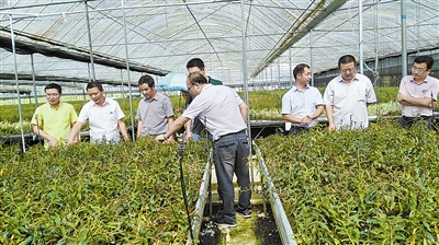 省食药监局开展专项督查