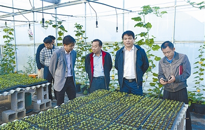 2016年全州冬农开发面积拟定124万亩以上