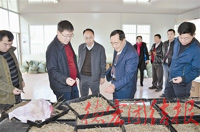 加大科研运用推广 促进生物科技发展