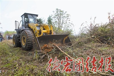 我州第八个“万头猪场”开工建设