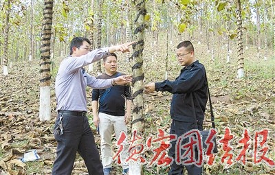 我州贫困林场脱贫工作深入推进