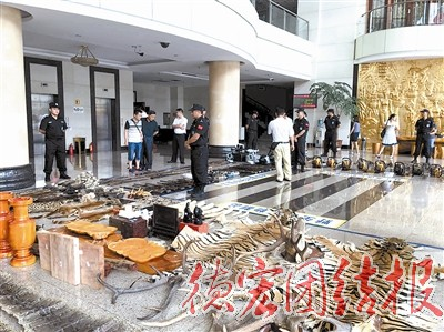 突出重点 狠抓落实 合力开创新局面