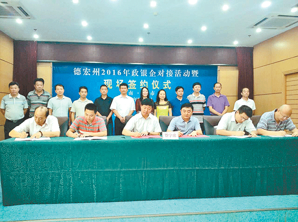 德宏州政府开展政银企对接活