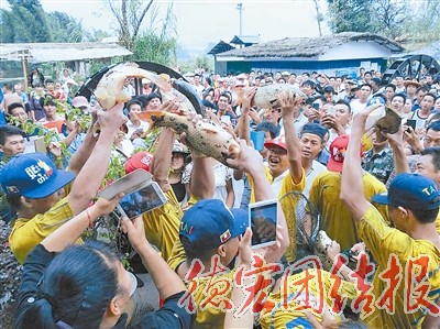 国庆黄金周乡村旅游火热 系列活动助推地方经济发展