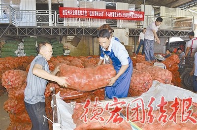 州农业局帮扶挂钩贫困户发展马铃薯种植