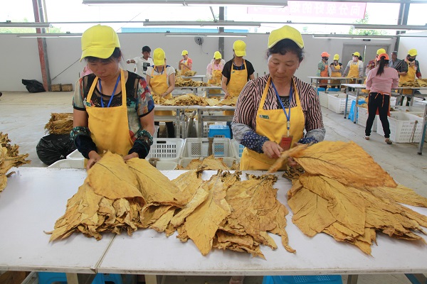 downLoad-20170616085249