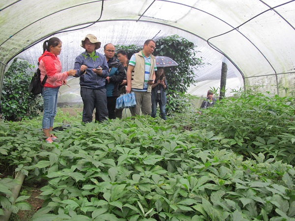 downLoad-20170713085518