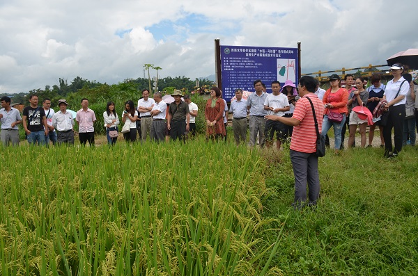 downLoad-20170908091934