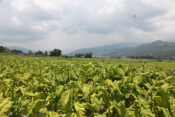 downLoad-20170908091922