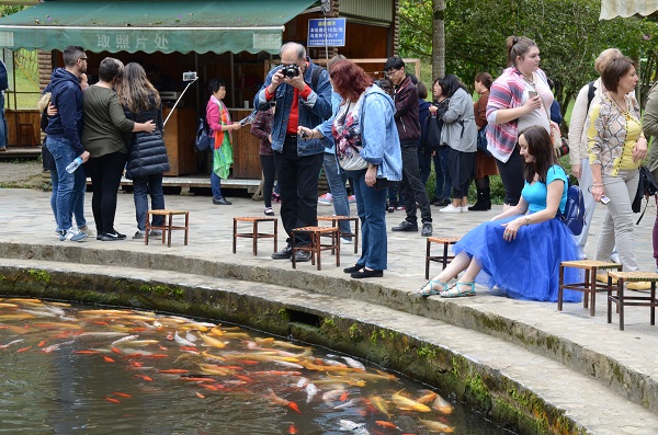 downLoad-20171122092058