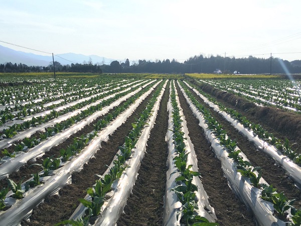 downLoad-20180227091300