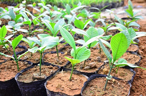 downLoad-20180330085752