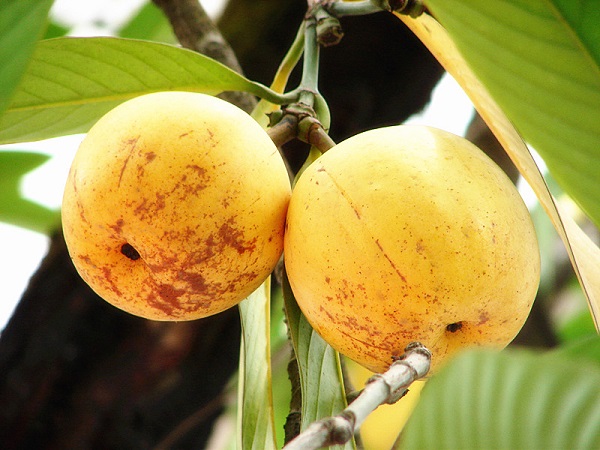 downLoad-20180330090834