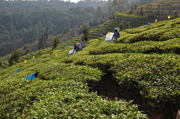 downLoad-20180423090656