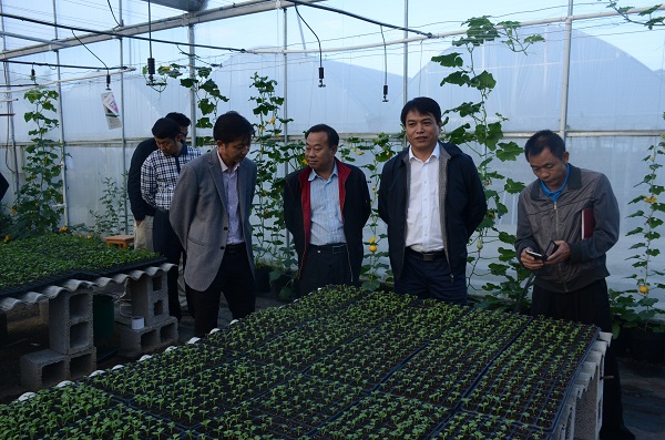 downLoad-20180504090212