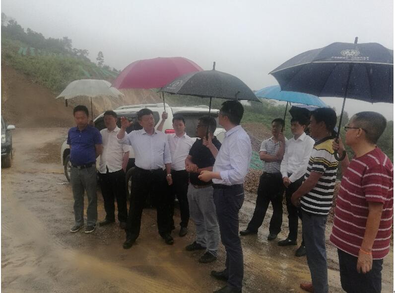 李副州长在瑞丽芒棒采石场查看整改情况