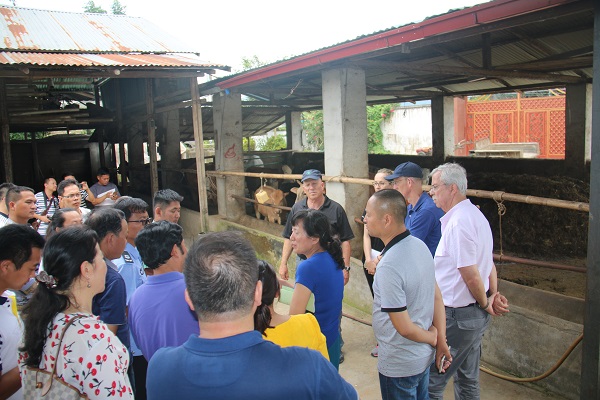 downLoad-20180730091240