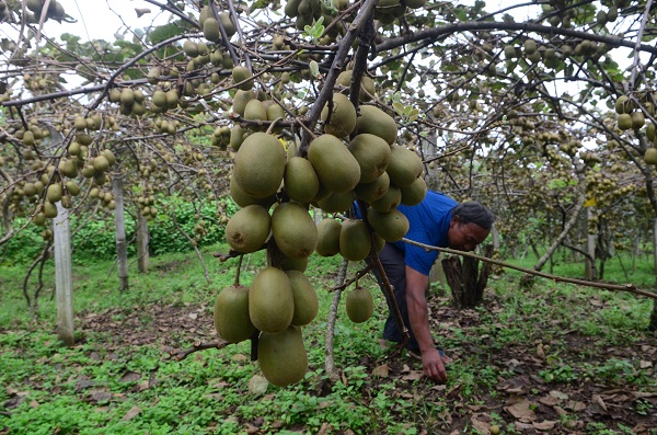 downLoad-20180913090559