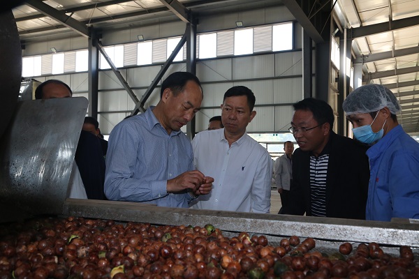 downLoad-20181030085354